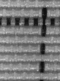 ESD synthetic fabric magnification